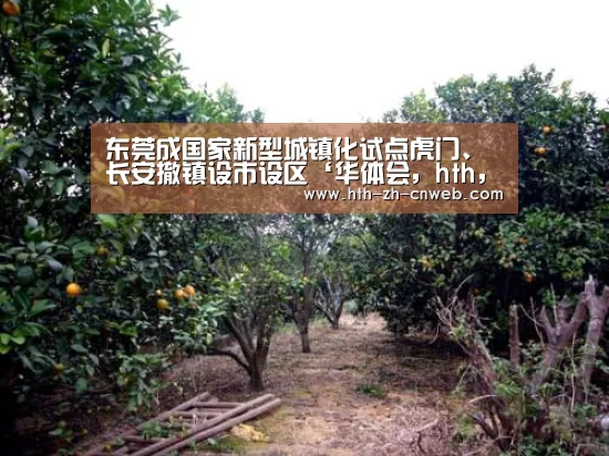 华体会，hth，华体会官网