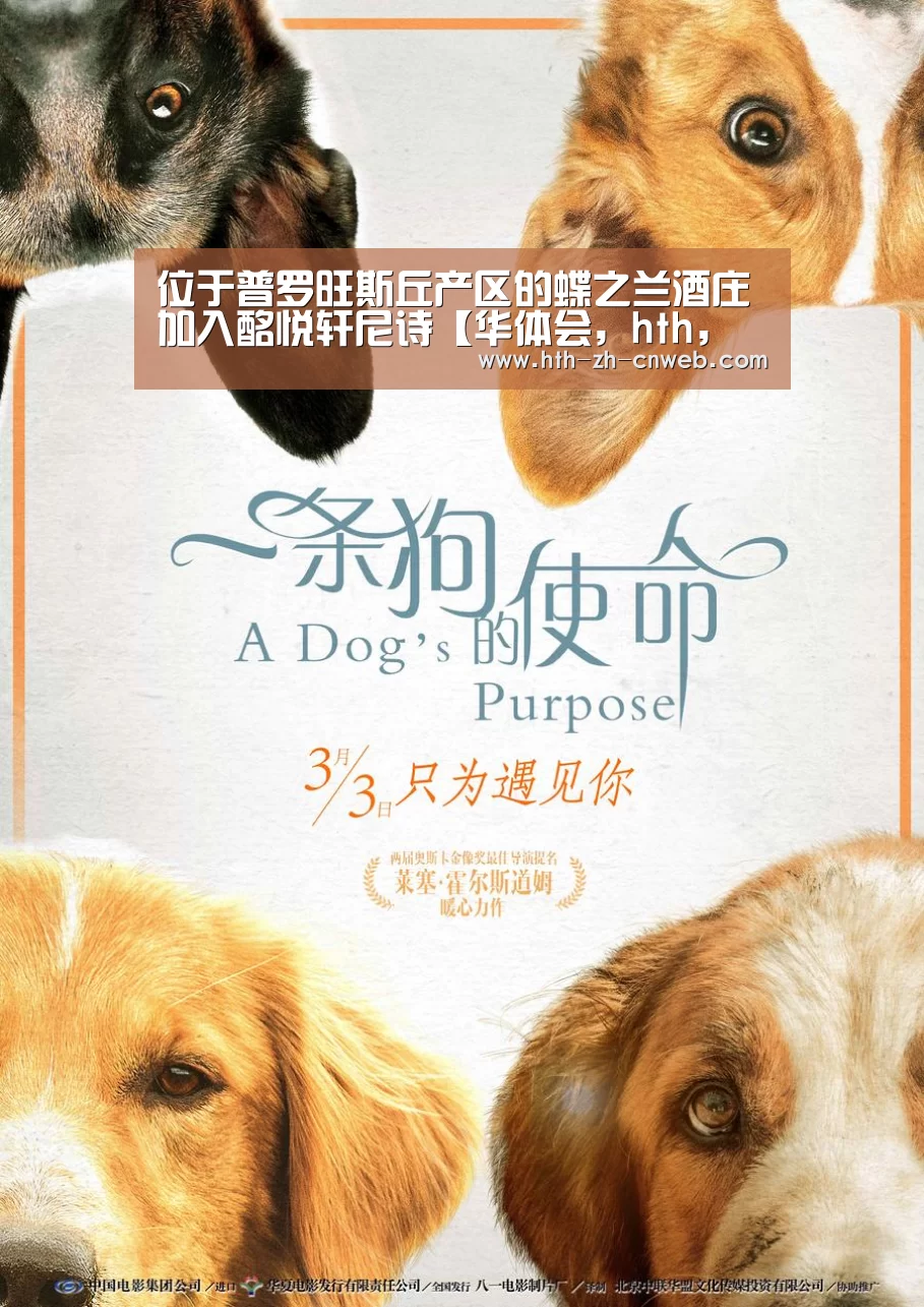 华体会，hth，华体会官网
